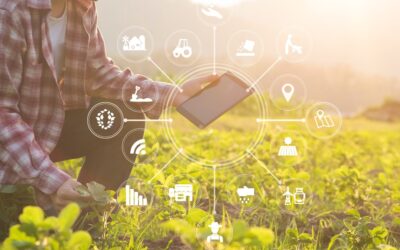 Wonderful News! – COSA Project Launch