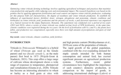 Optimizing fertilization and crop management for triticale in the Lăpuș depression, Romania
