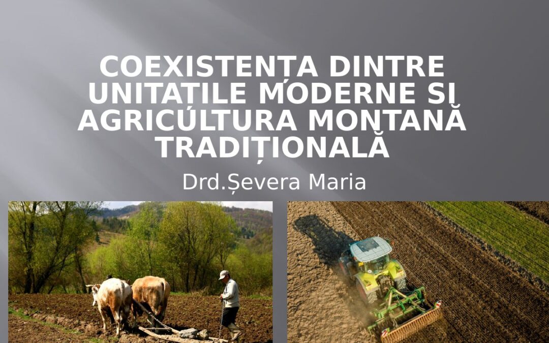 Coexistence Between Modern Utilities and Traditional Mountain Agriculture — Doctoral Pitch by Maria Șevera
